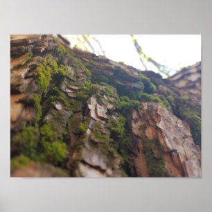Moss på skällaffischen poster