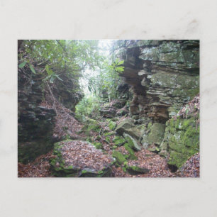Moss på Sten Boulders i Mercer County WV Vykort
