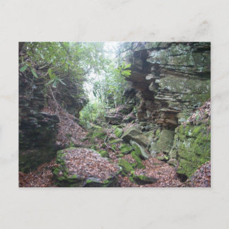 Moss på Sten Boulders i Mercer County WV Vykort