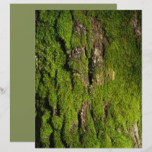 Moss på trädbark scrapbookpapper