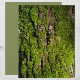 Moss på trädbark scrapbookpapper