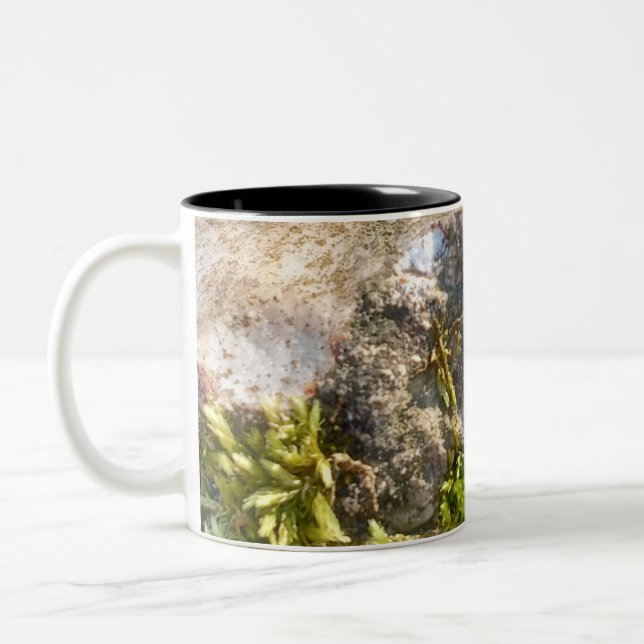 Moss Rock Mugg  (Vänster)
