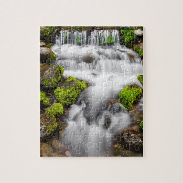 Moss runt Fern Spring Pussel (Vertikal)