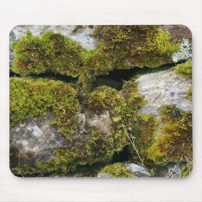 Moss stone wall Mousepad Musmatta (Framsidan)