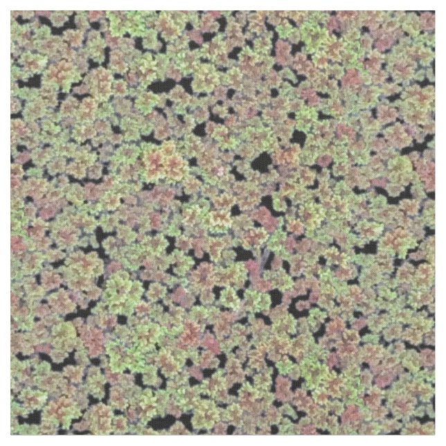 Moss - V2 Tyg (Närbild)