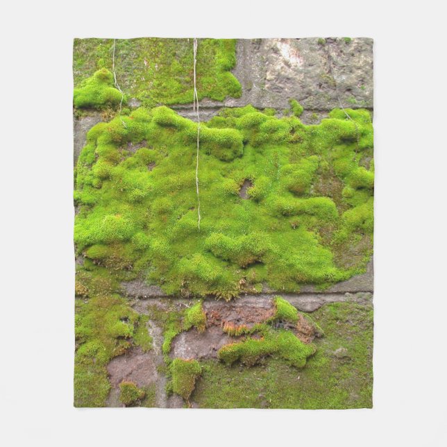 Moss wall green rock texture fleecefilt (Framsidan)