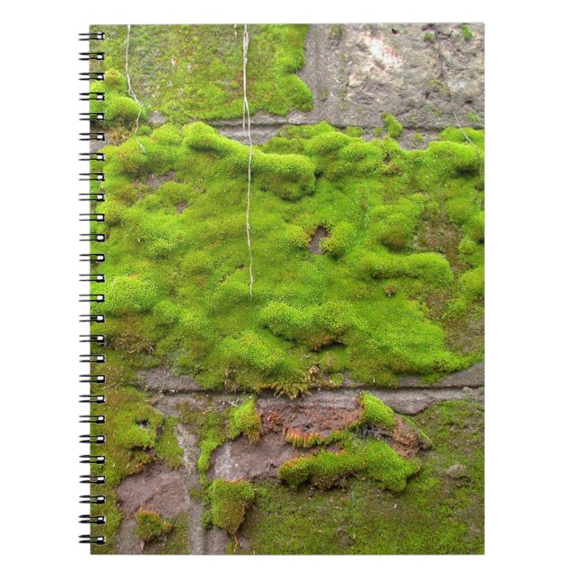 Moss wall grönt sten struktur anteckningsbok (Framsidan)