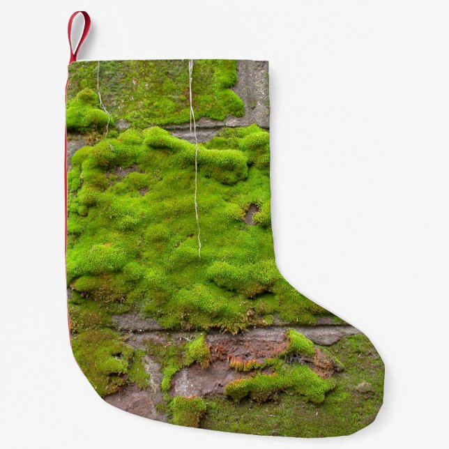 Moss wall grönt sten struktur liten julstrumpa (Framsidan)