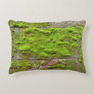 Moss wall grönt sten struktur prydnadskudde