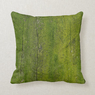 mossa på struktur kudde