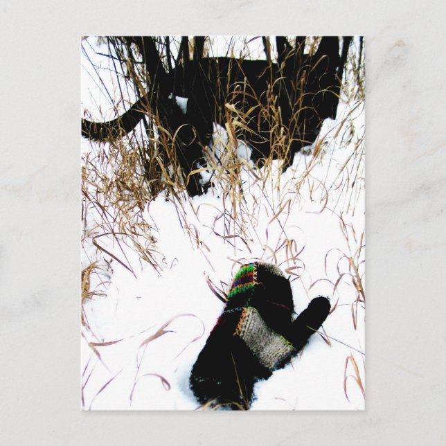 Mössan Ukrainskt folksaga Vykort (Framsida)