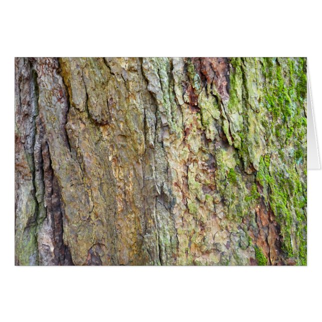 Mossbeväxt Bark OBS Kort (Framsidan Horizontal)