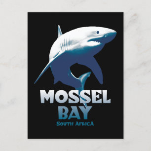 Mossel Bay Underbar White Shark Dyka Vykort