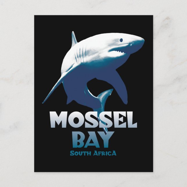 Mossel Bay Underbar White Shark Dyka Vykort (Framsida)