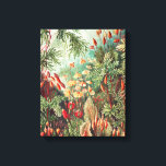 Mosses, Muscinae Laubmoose av Ernst Haeckel Canvastryck<br><div class="desc">Mosses,  Muscinae Laubmoose av Ernst Haeckel Kanvastryck</div>