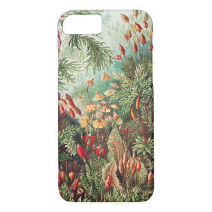Mosses, Muscinae Laubmoose av Ernst Haeckel