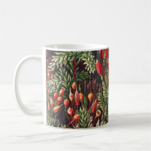 Mosses, Muscinae Laubmoose av Ernst Haeckel Kaffemugg