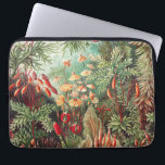 Mosses, Muscinae Laubmoose av Ernst Haeckel Laptop Fodral<br><div class="desc">Muscinae Laubmoose av Ernst Haeckel Vintage Plants Laptop sleeve</div>