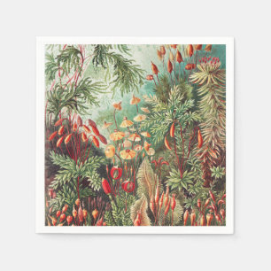Mosses, Muscinae Laubmoose av Ernst Haeckel Pappersservett