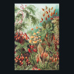 Mosses, Muscinae Laubmoose av Ernst Haeckel Poster<br><div class="desc">Muscinae Laubmoose av Ernst Haeckel Vintage Plants Poster</div>