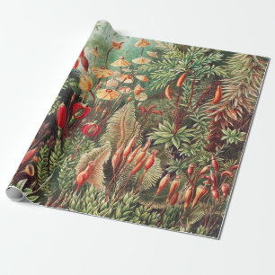 Mosses, Muscinae Laubmoose av Ernst Haeckel Presentpapper