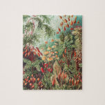 Mosses, Muscinae Laubmoose av Ernst Haeckel Pussel<br><div class="desc">Muscinae Laubmoose av Ernst Haeckel Vintage Plants Jigszle Puzzle.</div>