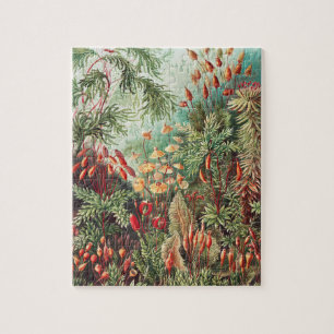 Mosses, Muscinae Laubmoose av Ernst Haeckel Pussel