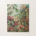 Mosses, Muscinae Laubmoose av Ernst Haeckel Pussel<br><div class="desc">Muscinae Laubmoose av Ernst Haeckel Vintage Plants Jigszle Puzzle.</div>