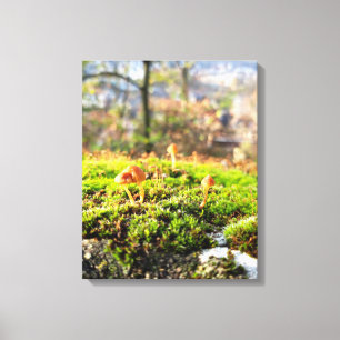 Mosses och Lichens med litet svamprum Canvastryck