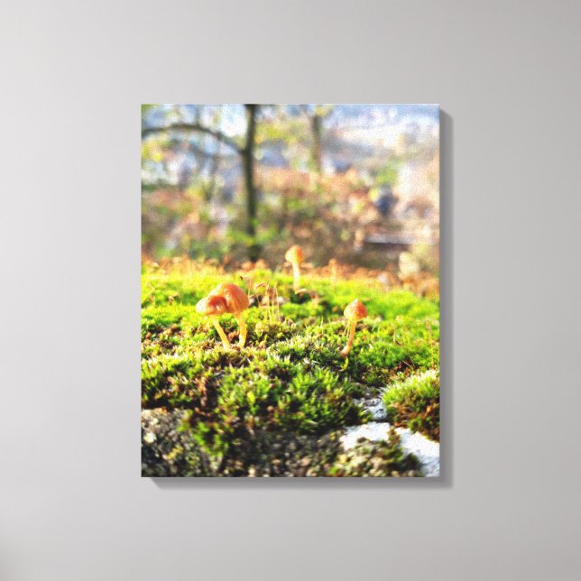 Mosses och Lichens med litet svamprum Canvastryck (Framsida)
