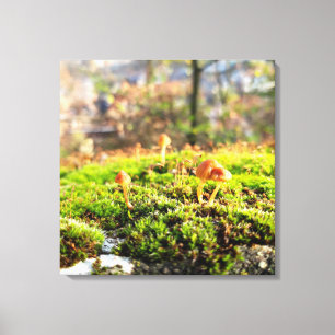 Mosses och Lichens med litet svamprum Canvastryck