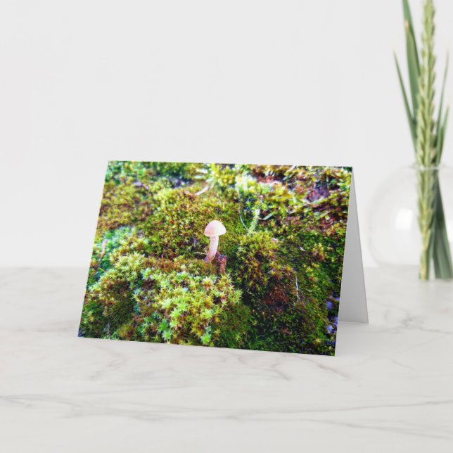 Mosses och Lichens med små svampar Kort (Framsida)