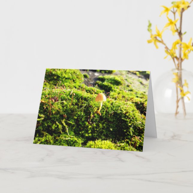Mosses och Lichens med små svampar Kort (Gul blomma)