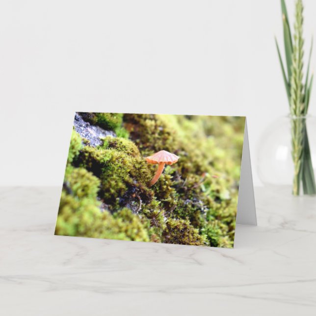 Mosses och Lichens med små svampar Kort (Framsida)