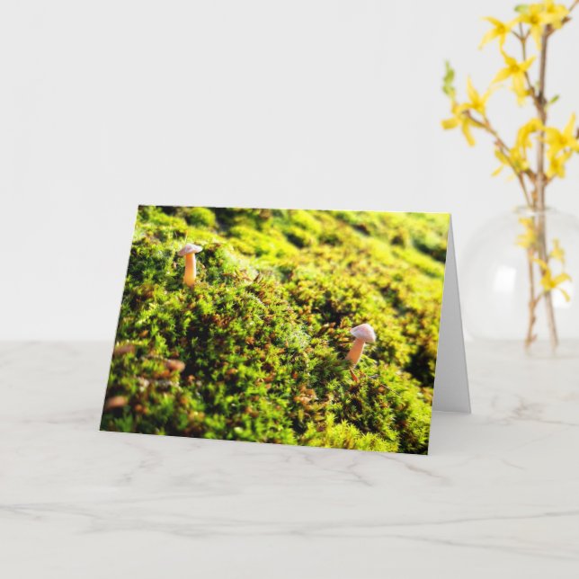 Mosses och Lichens med små svampar Kort (Gul blomma)