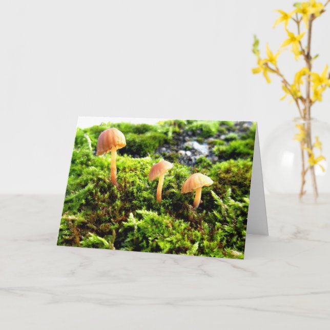 Mosses och Lichens med små svampar Kort (Gul blomma)