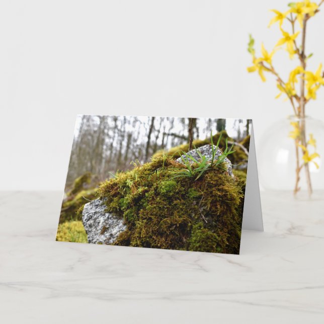 Mosses, Vår uppvaknande Kort (Gul blomma)