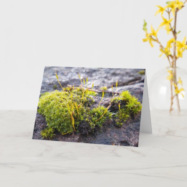 Mosses, Vår uppvaknande Kort (Gul blomma)