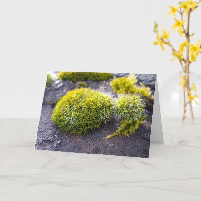 Mosses, Vår uppvaknande Kort (Gul blomma)