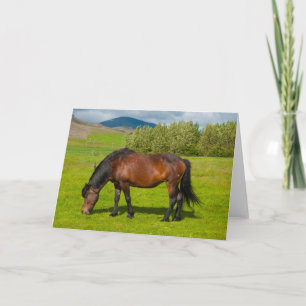 Mossfellsbaer Islands Horse Kort