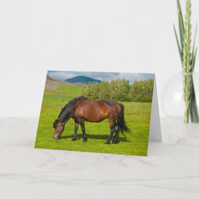 Mossfellsbaer Islands Horse Kort (Framsida)