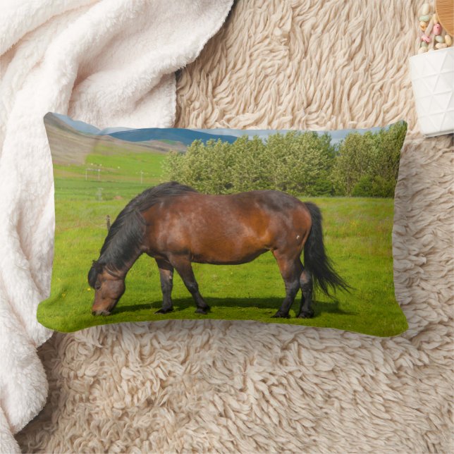 Mossfellsbaer Islands Horse Lumbarkudde (Filt)