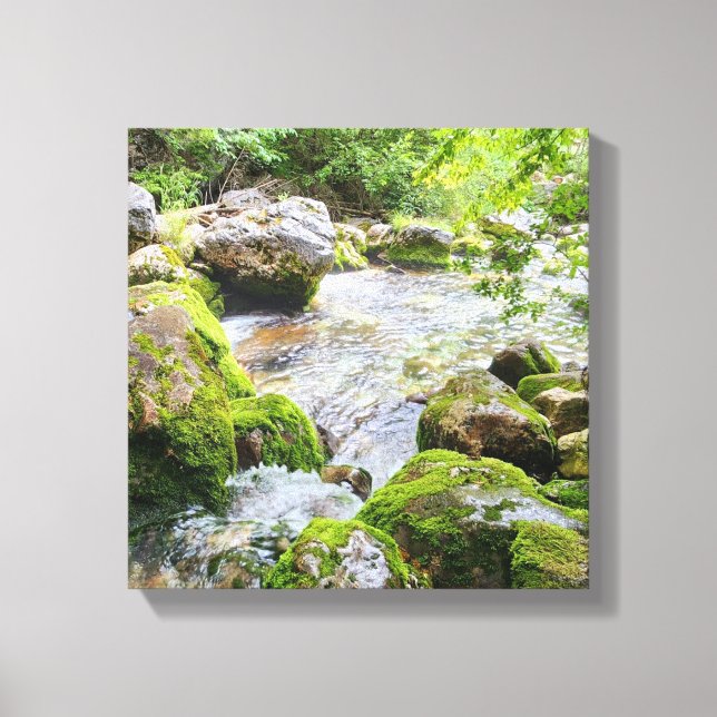Mossig bergsbäck – Ren flod i skog på canvas (Framsida)