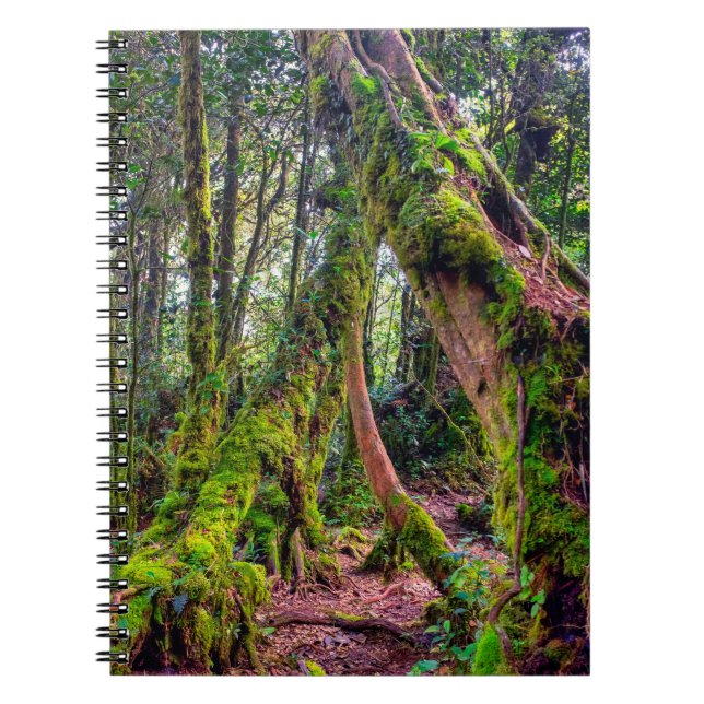 Mossig skog anteckningsbok (Framsidan)
