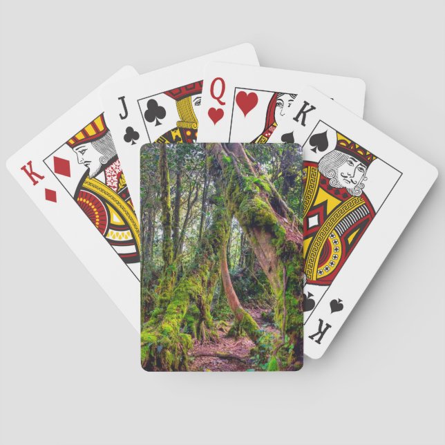 Mossig skog casinokort (Baksidan)