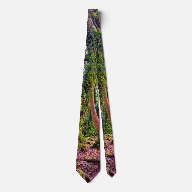 Mossig skog slips (Framsida)