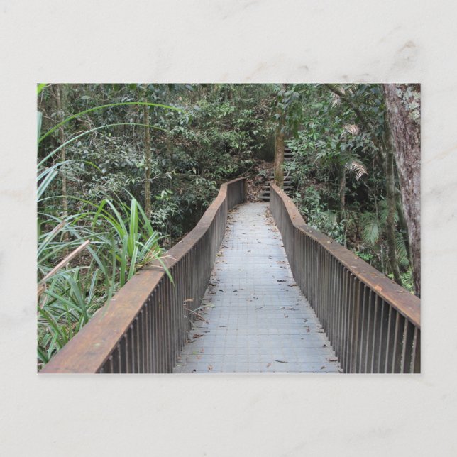 Mossman Gorge - Queensland Australia Vykort (Framsida)