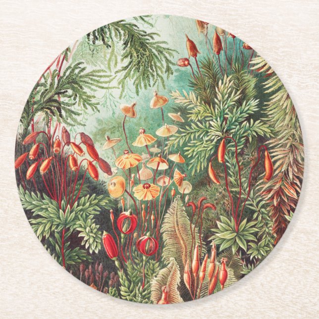 Mossor, Muscinae Laubmoose av Ernst Haeckel Underlägg Papper Rund (Framsidan)