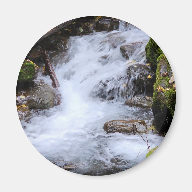Mossy Autumn Stream Magnet (Framsidan)