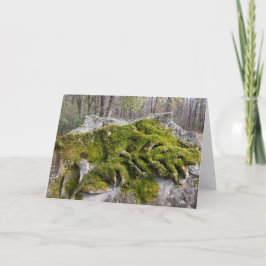 Mossy Broken Headstone Kort